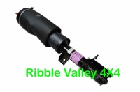 RNB000750 SUSPENSION STRUT